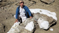در آمریکا اسکلت ۷۶ میلیون ساله یک دایناسور شناسایی شد