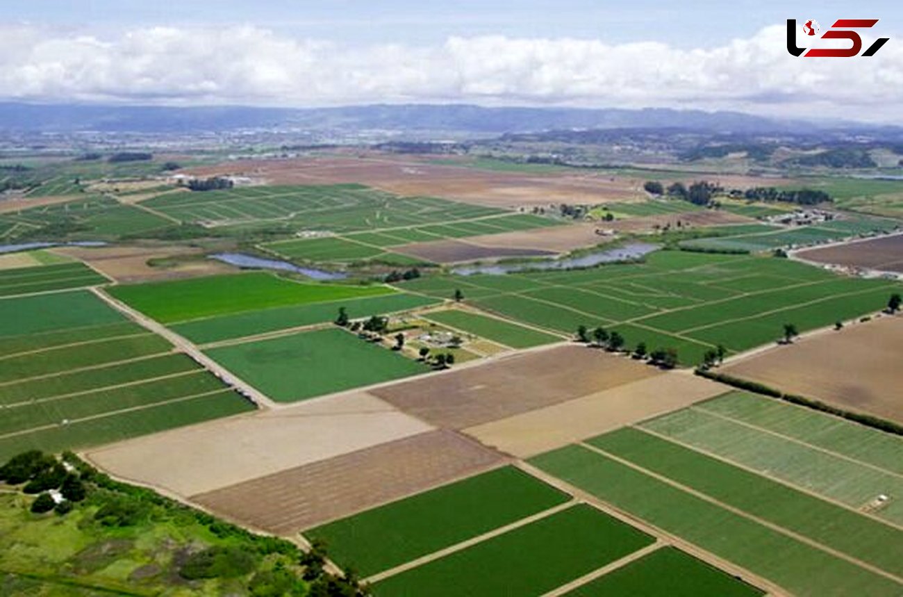 طرح ملی صدور سند برای اراضی کشاورزی گامی برای مبارزه با زمین خواری