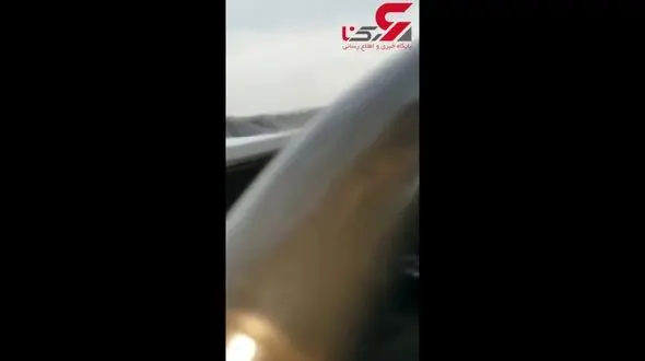 حمله اسب آبی به یک راننده+فیلم