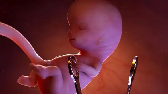 محافظت جفت از جنین در برابر کرونا