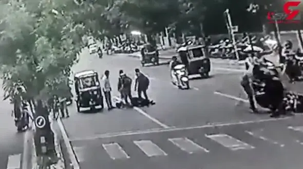 لحظه تصادف مرگبار با حیوانی عجیب وسط خیابان + فیلم