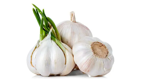 6 دسته از افرادی که نباید سیر بخورند