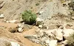 جزییات امدادرسانی در امامزاده داوود / بارندگی صبح امروز سیل آسا بود + فیلم و عکس