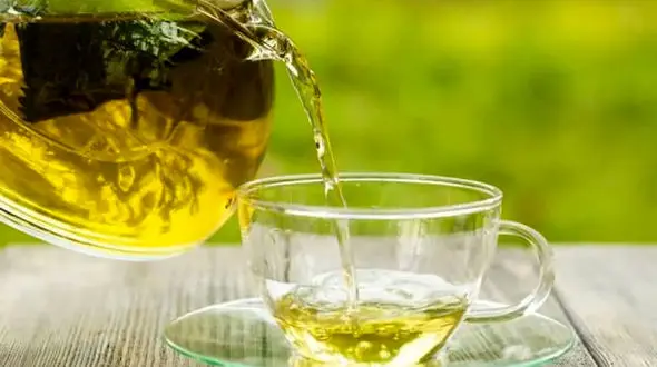 چای سبز؛ گیاهی با خواص دارویی قابل‌توجه