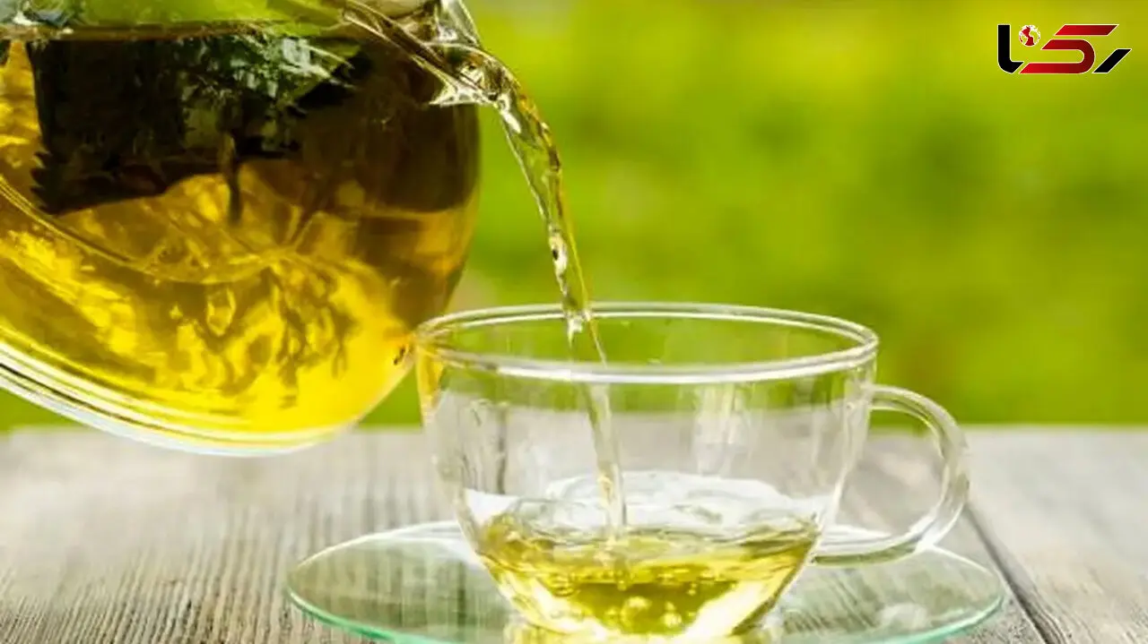چای سبز؛ گیاهی با خواص دارویی قابل‌توجه