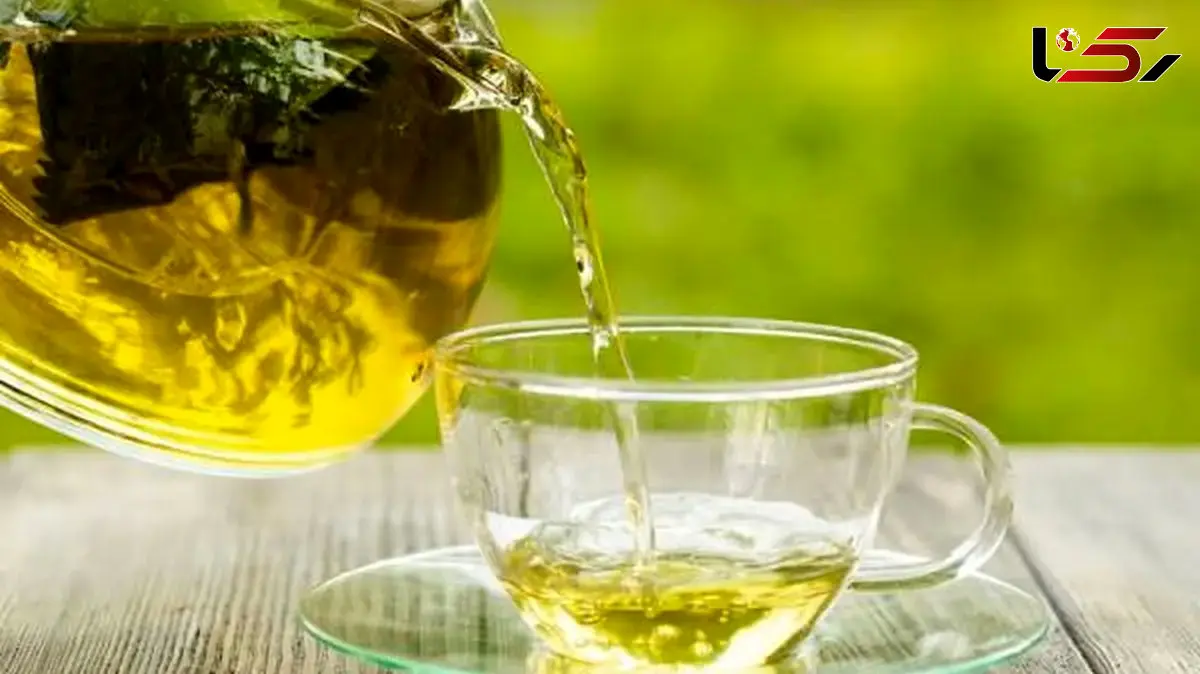 چای سبز؛ گیاهی با خواص دارویی قابل‌توجه