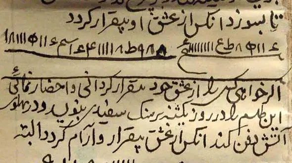دردسر حفظ شوهر باطلسم و جادو / کشتن فجیع کفتار بیچاره برای به دست آوردن ناموسش+ تصاویر
