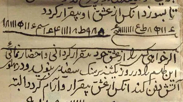 دردسر حفظ شوهر باطلسم و جادو / کشتن فجیع کفتار بیچاره برای به دست آوردن ناموسش+ تصاویر