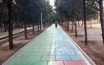 درخت هم طبقاتی شد؛ شکاف سبز در پایتخت/ آدرس خانه، سهم شهروند از درختان را تعیین می‌ کند