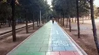 درخت هم طبقاتی شد؛ شکاف سبز در پایتخت/ آدرس خانه، سهم شهروند از درختان را تعیین می‌ کند