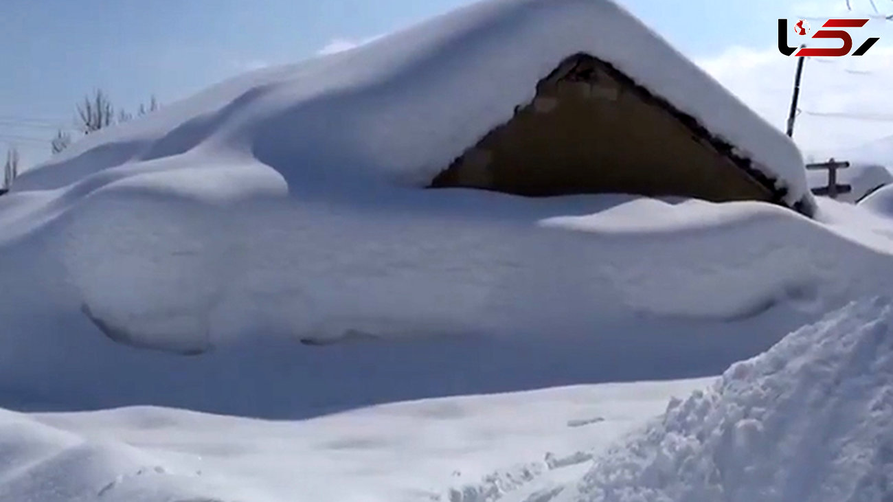 زیر برف ماندن کامل یک روستا در ترکیه + فیلم 