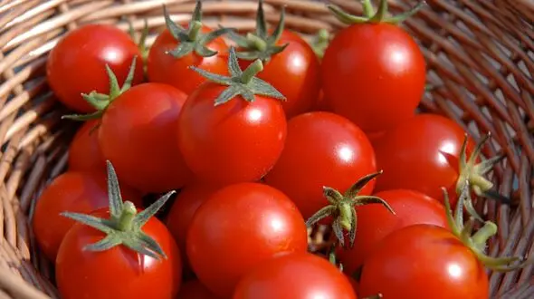 قیمت گوجه فرنگی به زودی ارزان می شود + جزئیات