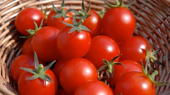 صادرات ۱۴ هزار تن گوجه فرنگی طی ۱۱ روز به کردستان عراق /  ماجرای افت شدید قیمت ها در مرز
