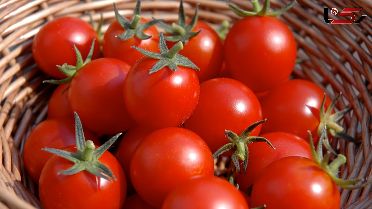 گوجه فرنگی کیلویی 9800 تومان