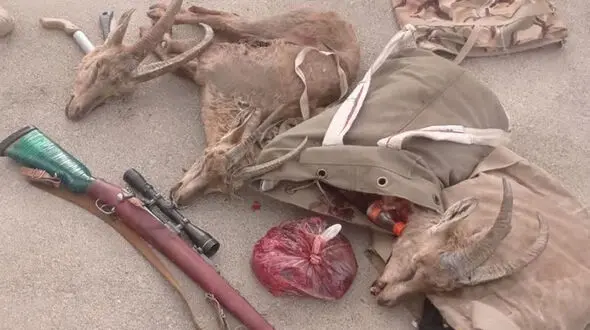 دستگیری ۴ شکارچی متخلف در بنادک سادات