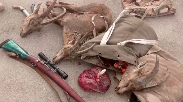 دستگیری ۴ شکارچی متخلف در بنادک سادات