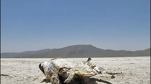 استاندار فارس: احیای دریاچه بختگان در اولویت است