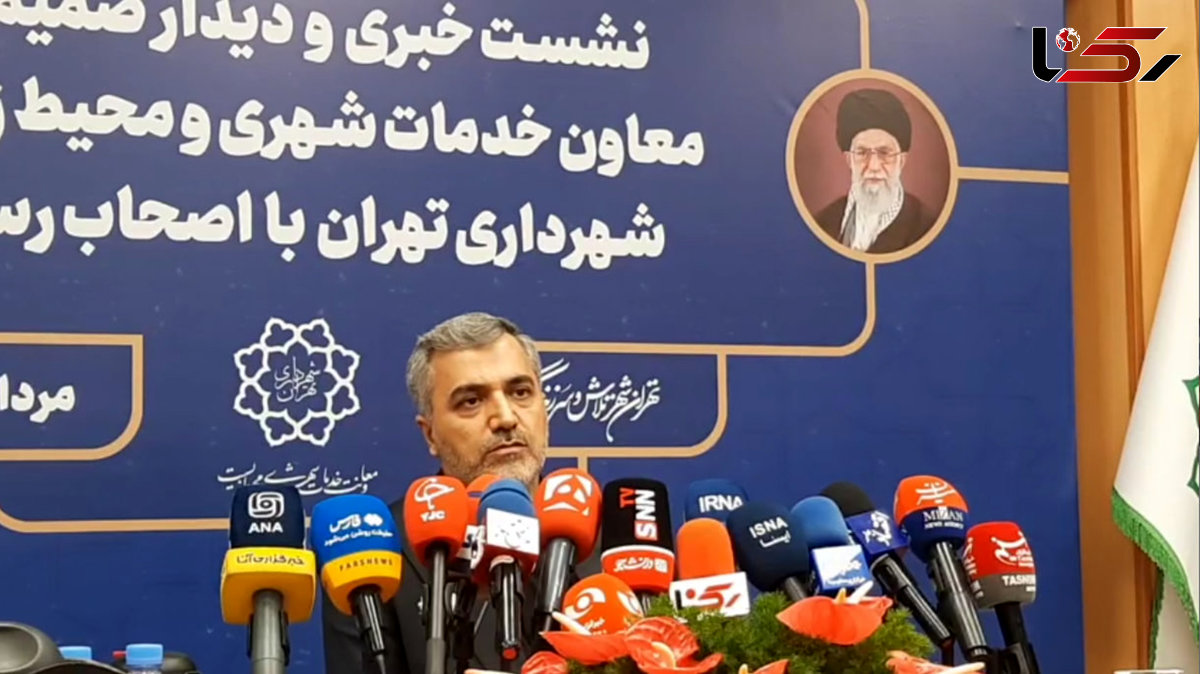 معاون خدمات شهری شهرداری تهران: هر درخت قطع شود، سه درخت جایگزین میکنیم