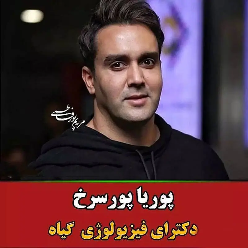 بازیگران ایرانی که دکتر شدند