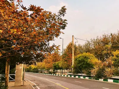 فال و طالع بینی امروز 14 تیر 1405