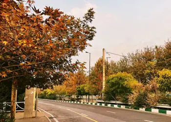 فال و طالع بینی امروز 14 تیر 1405