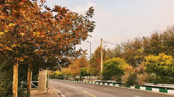 فال و طالع بینی امروز 14 تیر 1405