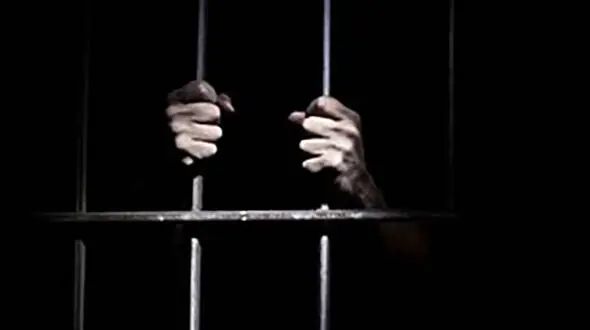 ستاره سابق سرخابی به حبس ابد محکوم شد