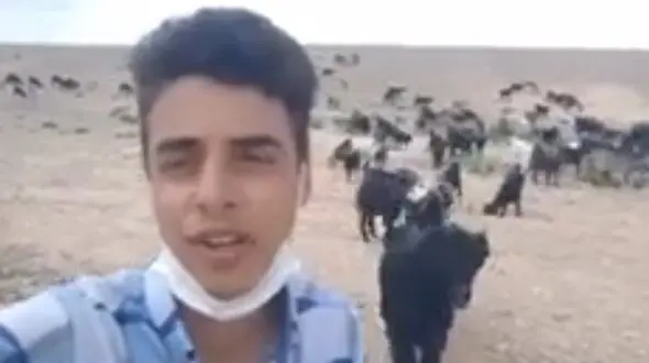 فیلم صدای محشر پسر چوپان با آهنگ شجریان ! /  چه چهه زیبا بین گوسفندان !