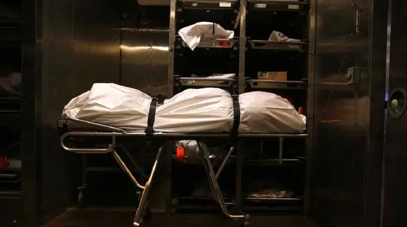 فیلم هولناک از تصادف مرگبار خودروی تسلا /  واقعیت تسلا فاش شد