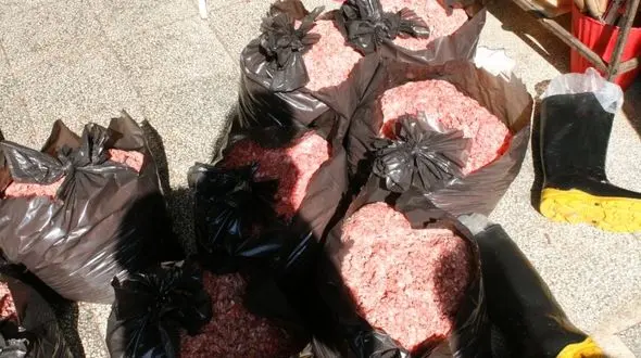 همبرگرهای فاسد در نظرآباد کشف شد + عکس