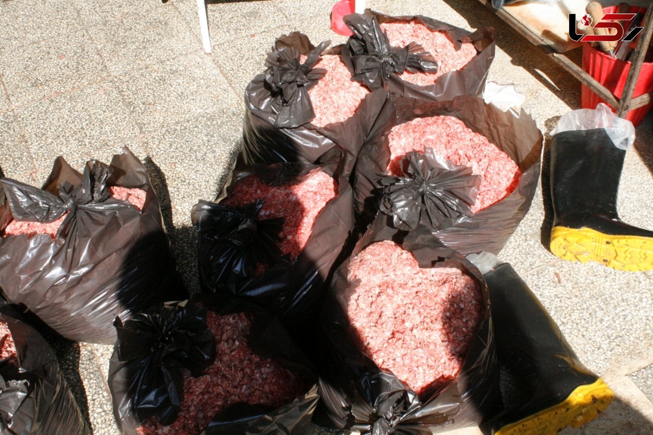همبرگرهای فاسد در نظرآباد کشف شد + عکس