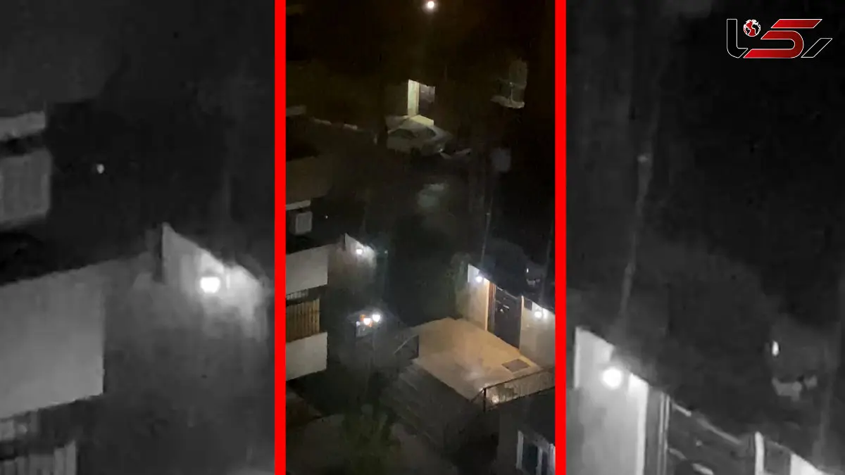 فیلم بارش زیبای برف دیشب در پردیس