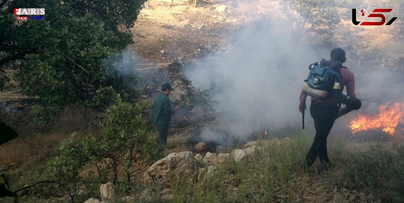 مهار آتش سوزی در 9 هکتار از مراتع بکر بخش تخت سلیمان تکاب