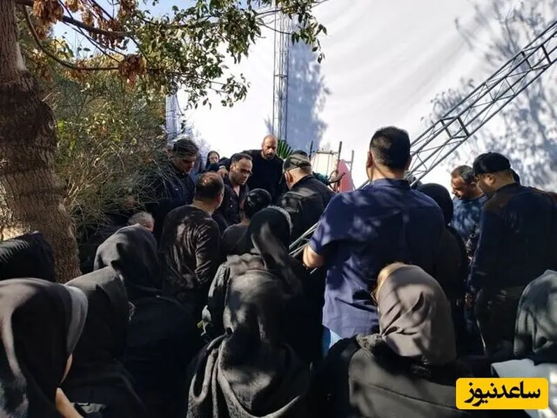 الهام شکیب
