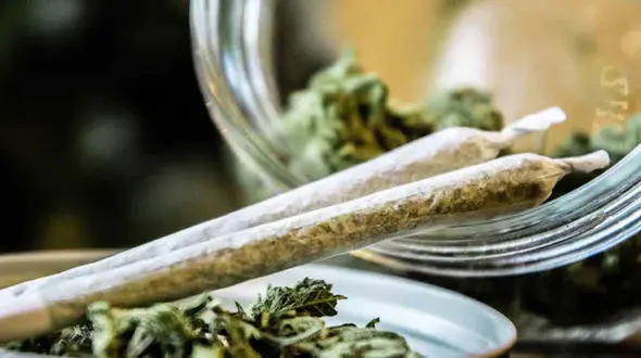 سلبریتی هایی که قاتل جوانان هستند