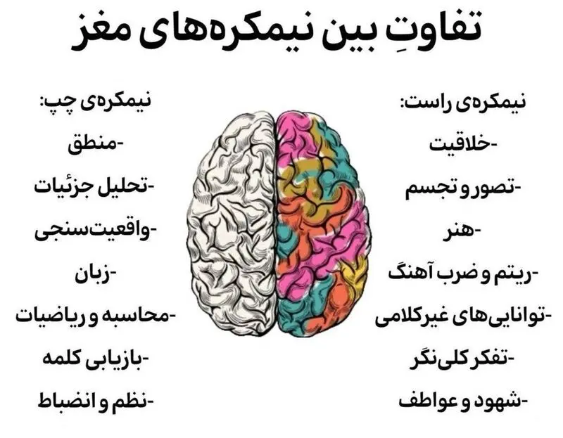 نیمکره های مغز
