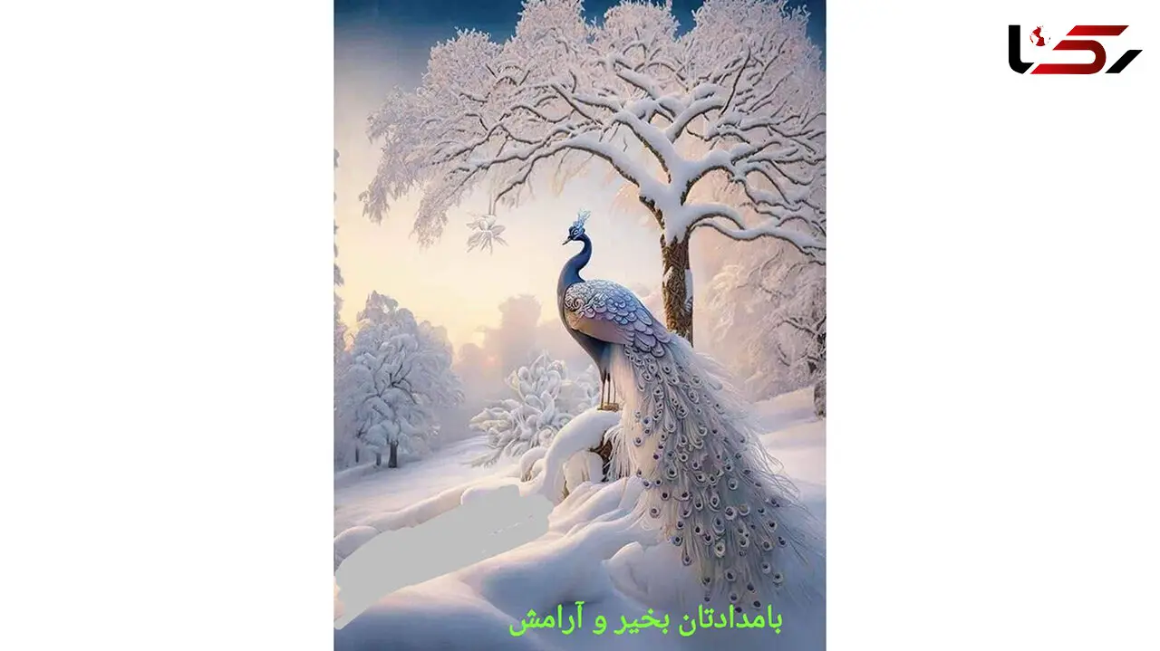 فال ابجد امروز / 24 دی + فیلم