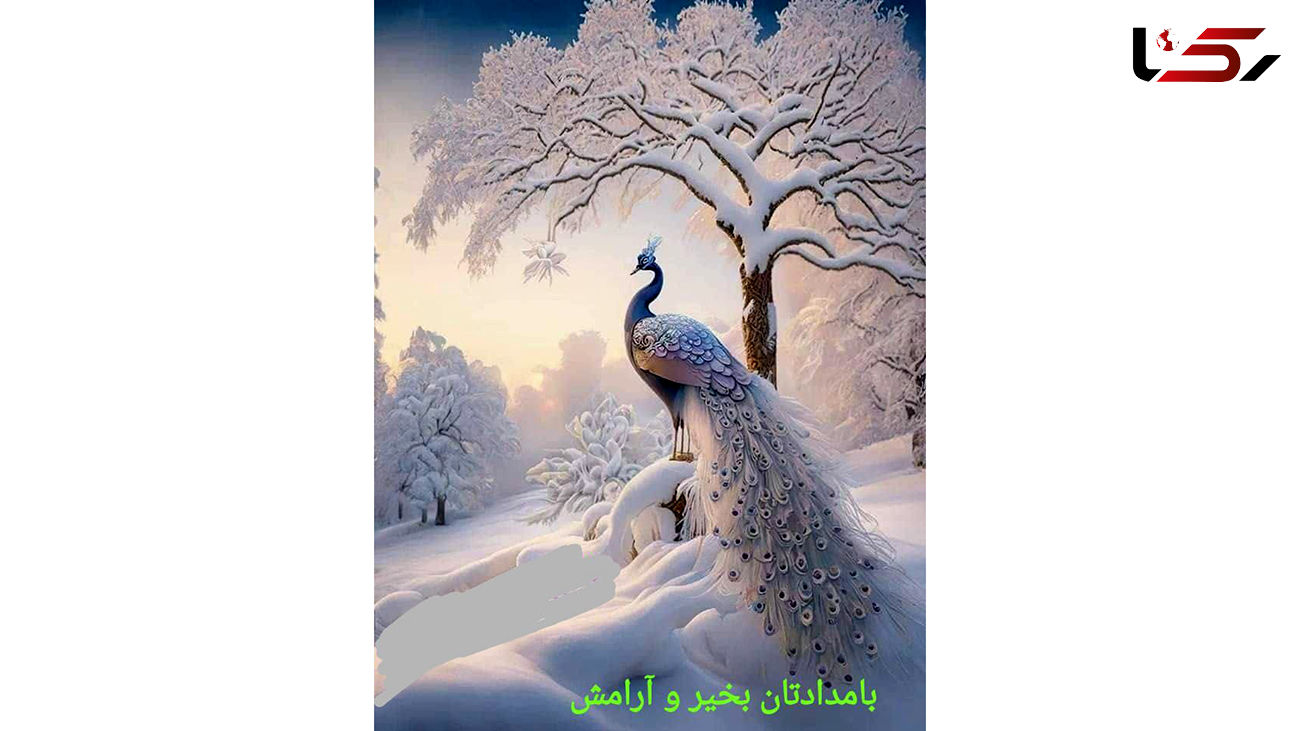 فال ابجد امروز / 24 دی + فیلم