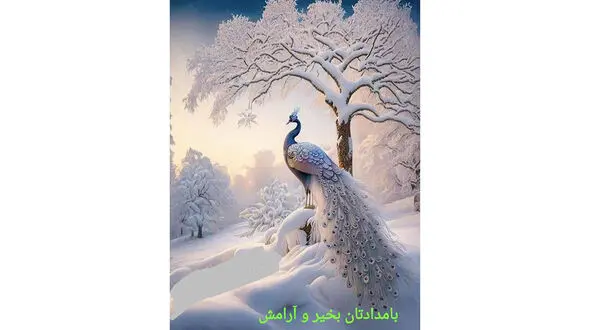 فال ابجد امروز / 24 دی + فیلم