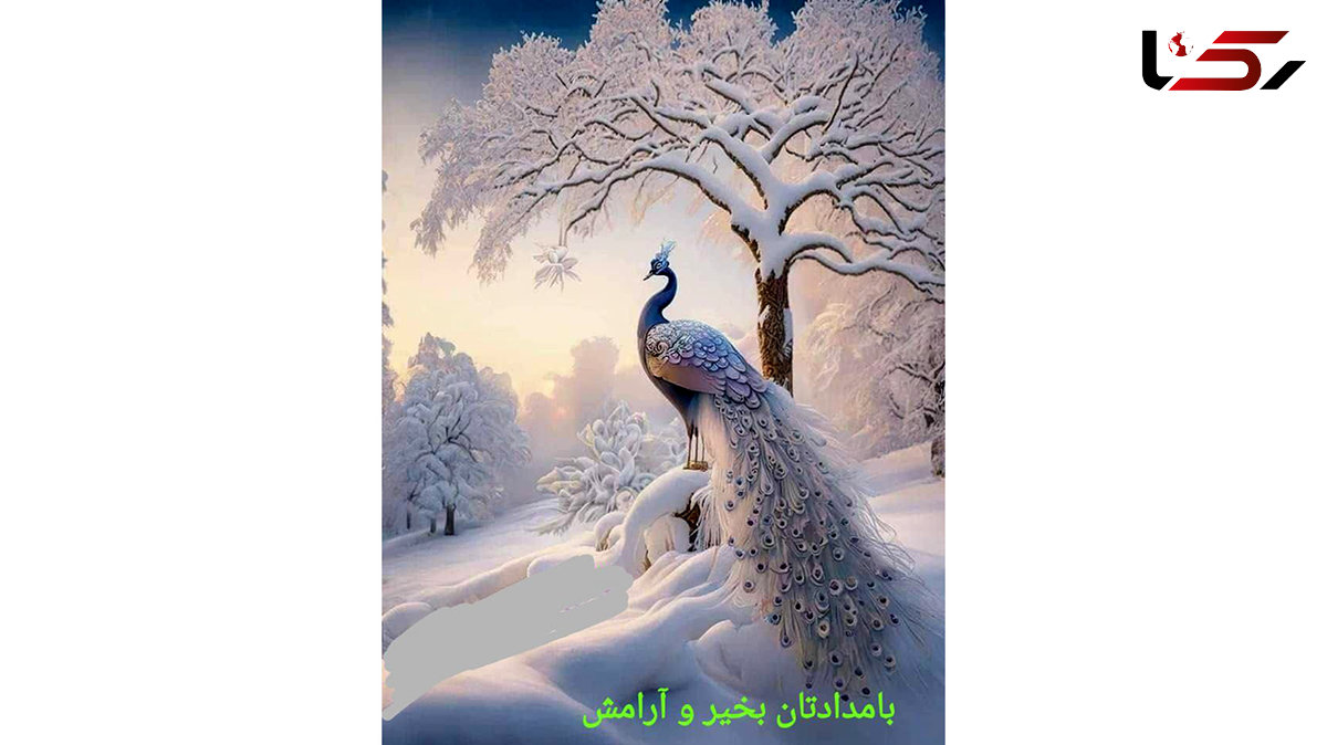 فال ابجد امروز / 24 دی + فیلم