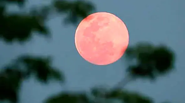 ماه صورتی را فردا مشاهده کنید + فیلم