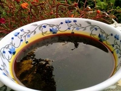طرز تهیه شیره خرمالو داروی خوشمزه مبارزه با کم خونی + فیلم