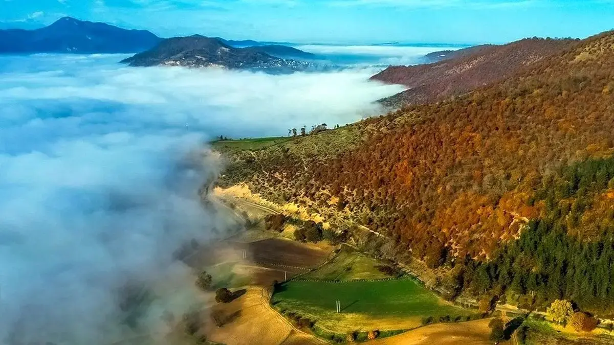 طبیعت چشم‌ نواز تالش / تابلوی زنده‌ ای از جنگل