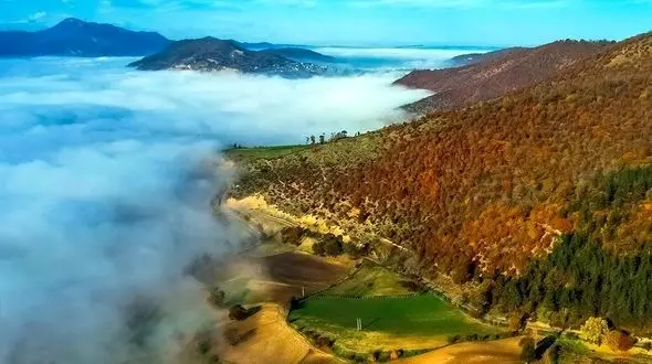 طبیعت چشم‌ نواز تالش / تابلوی زنده‌ ای از جنگل
