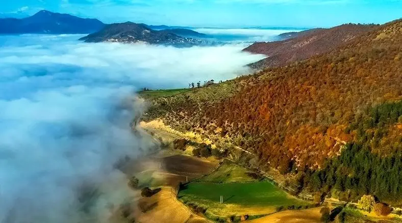 طبیعت چشم‌ نواز تالش / تابلوی زنده‌ ای از جنگل