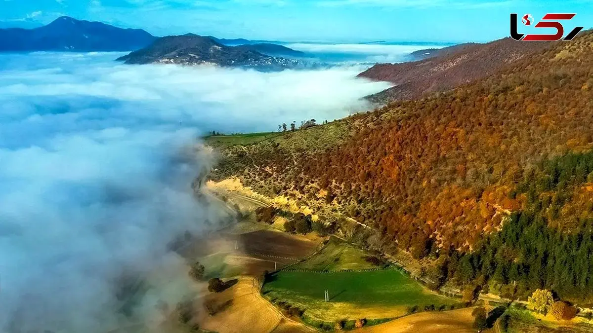 طبیعت چشم‌ نواز تالش / تابلوی زنده‌ ای از جنگل
