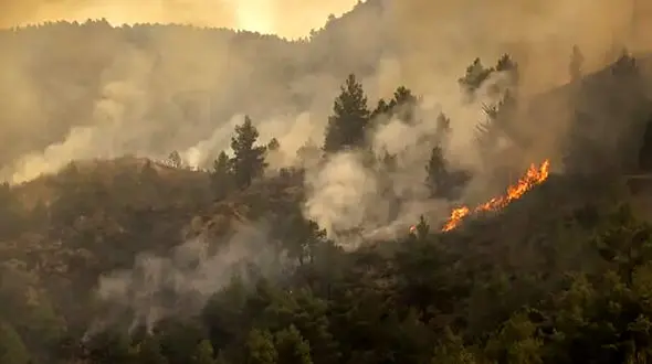 آخرین جزئیات آتش‌سوزی در دهنه چهل‌ چای مینودشت 