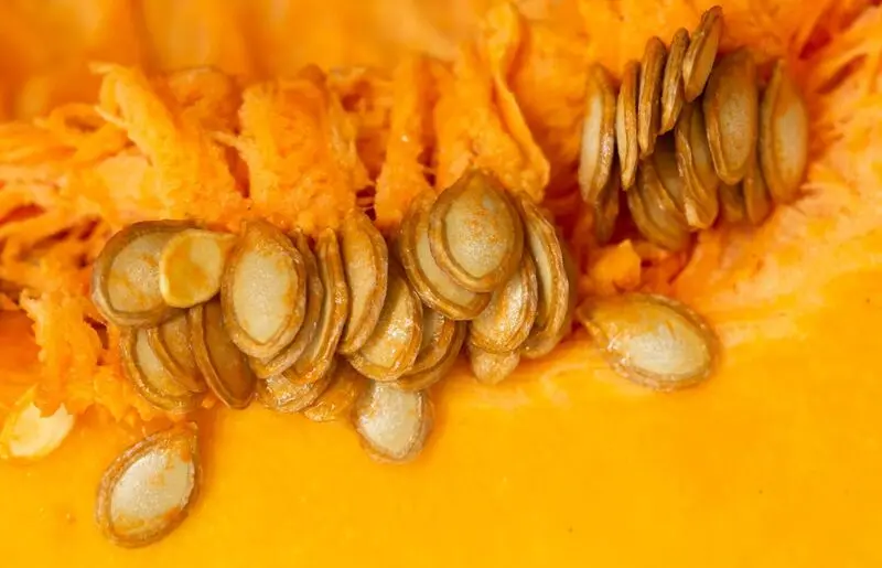 کدو حلوایی و مغز