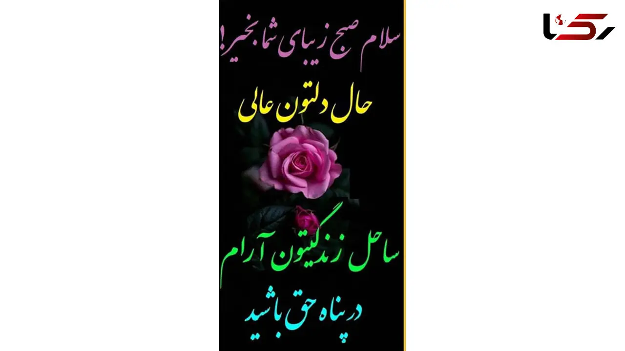 فال و طالع بینی روزانه 15 بهمن + فیلم 