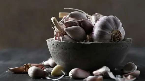 بوی سیر و پیاز  را چگونه نابود کنیم؟